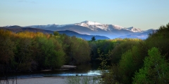 Spring in the White Mountains