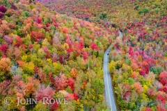 Groton State Forrest