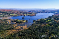 Joe's Pond