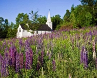 2010_06_8_church