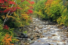 2010_09_28_sawyer_river