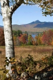 Overlooking Chocorua Lake