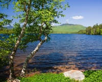 2010_5_20_chocorua_lake