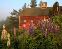 2010_6_2_barn