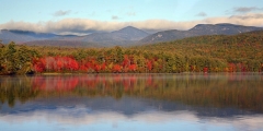 fall_1