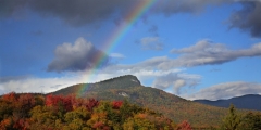 fall_3