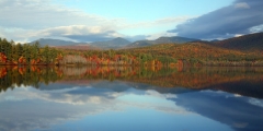 fall_7