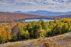 Lewis Pond