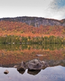 Jobs Pond Reflection