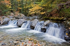 Fall at Cold Brook