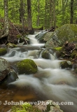 Spring Brook