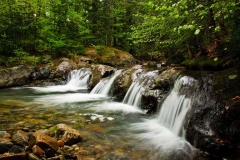 Cold_Brook_2010_5_06